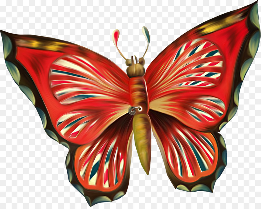 Mariposa，Polinizador PNG