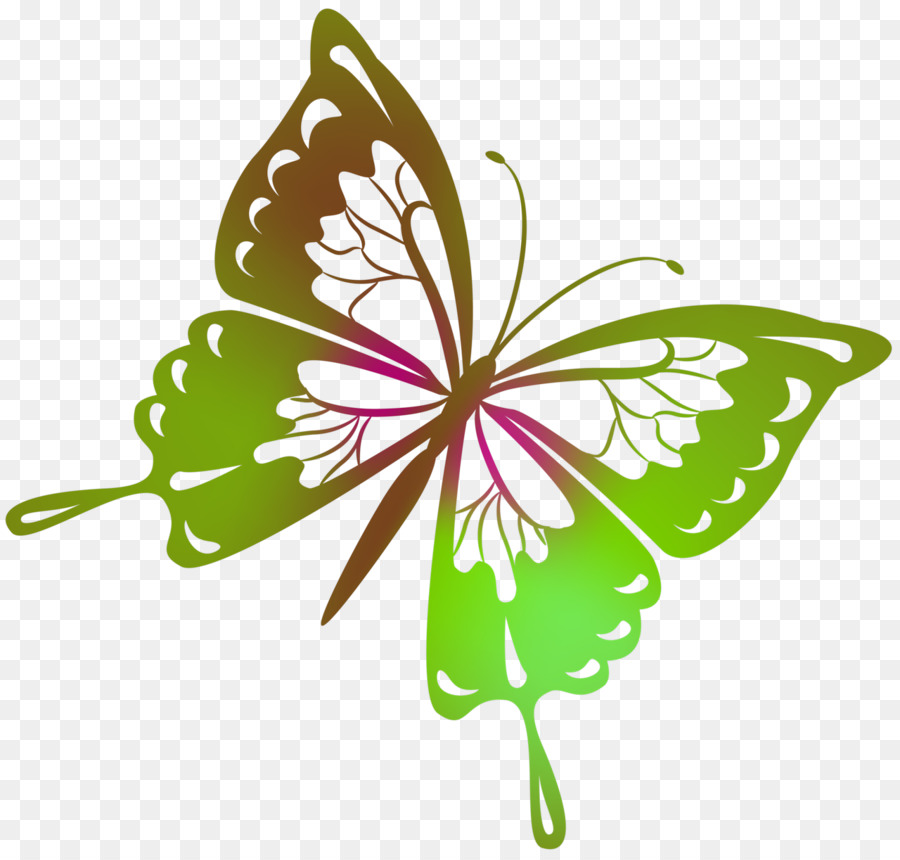 Mariposa，Dibujo PNG