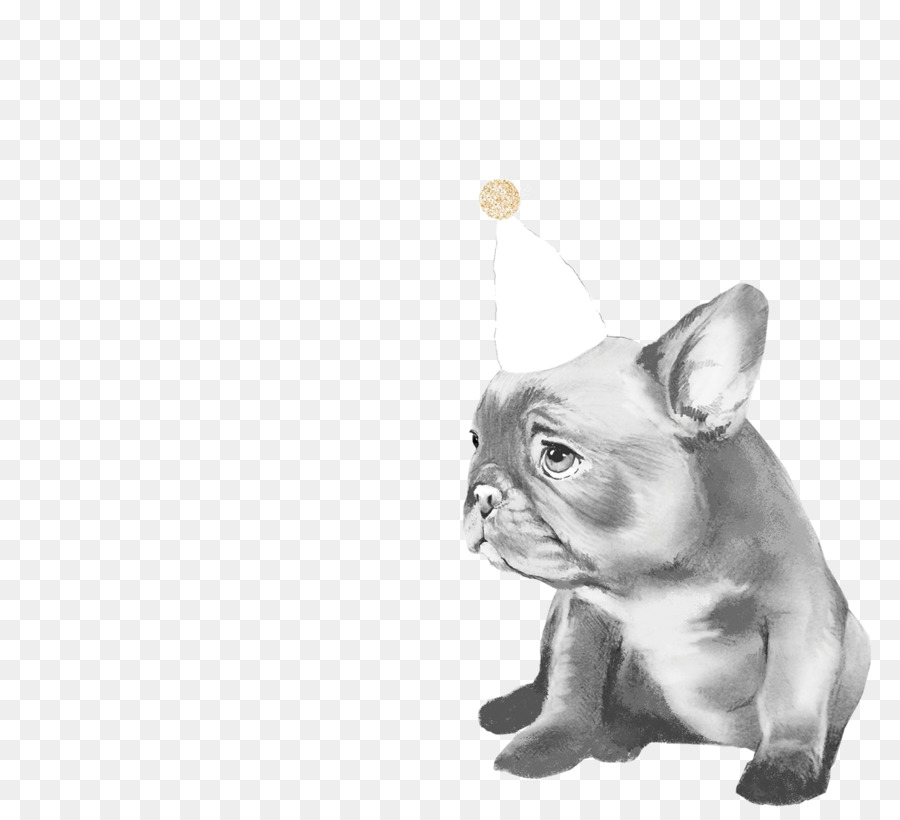 Cachorro Con Gorro De Fiesta，Fiesta PNG