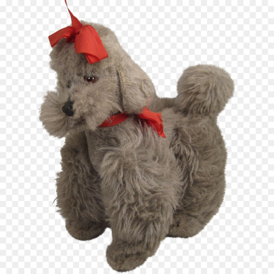 Schnoodle，Schnauzer Miniatura PNG