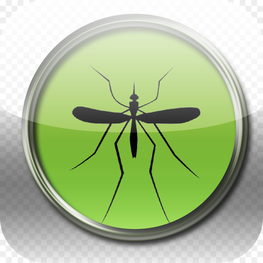 Los Insectos，Mosquito PNG