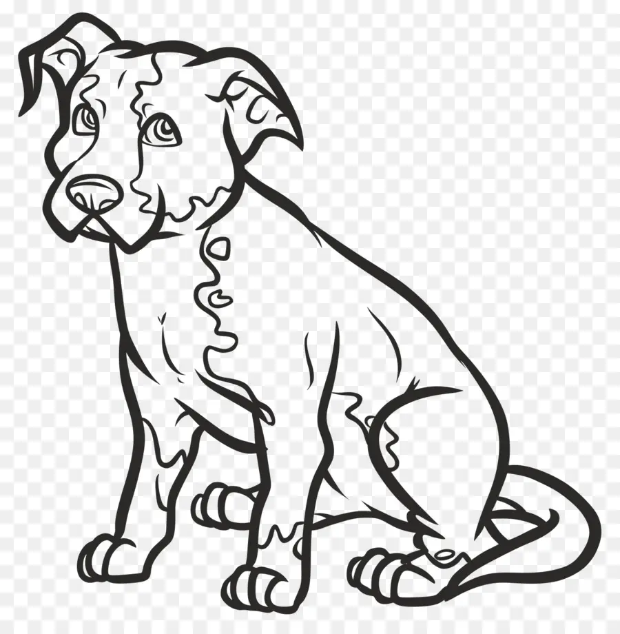 Cuidado De Mascotas，Pit Bull PNG