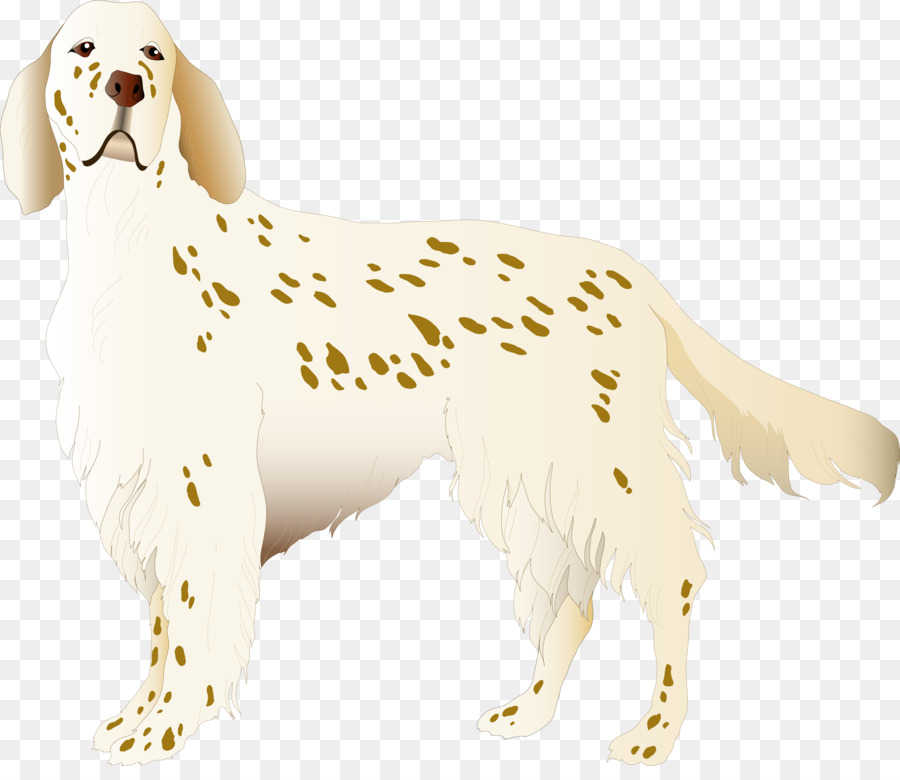 Setter Inglés，Cachorro PNG