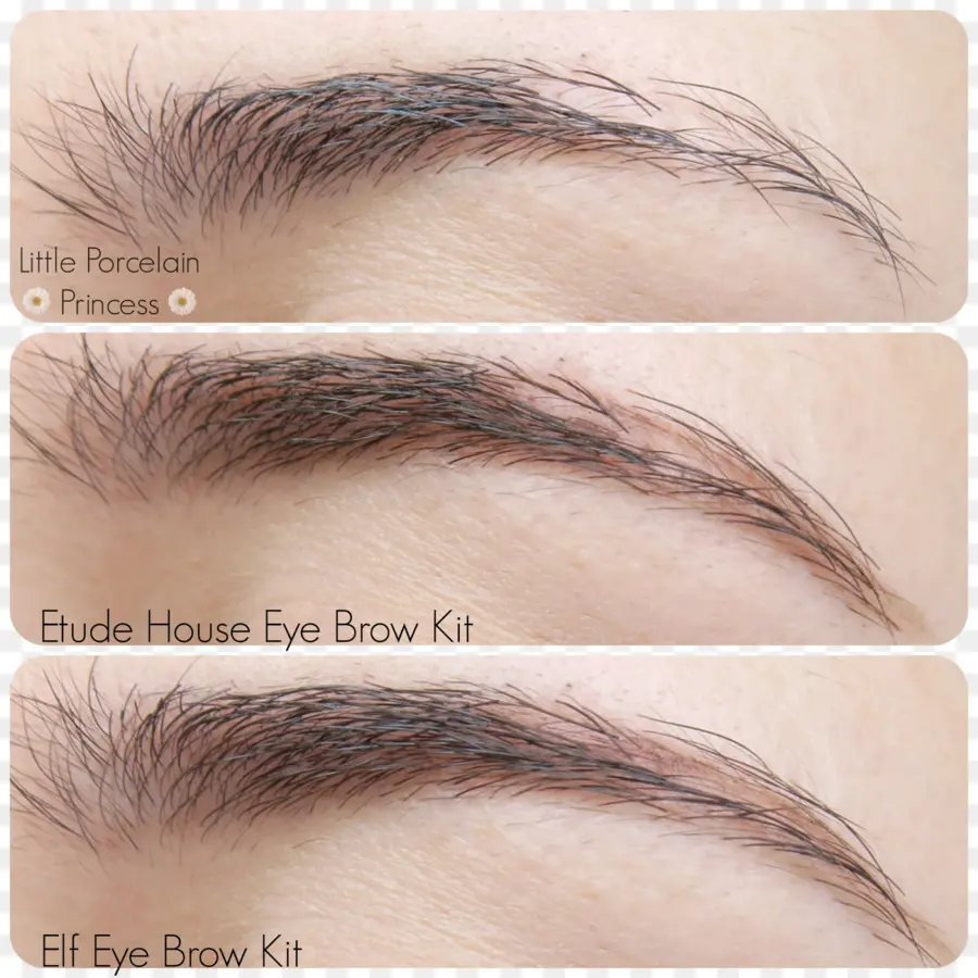 Kits De Cejas，Constituir PNG