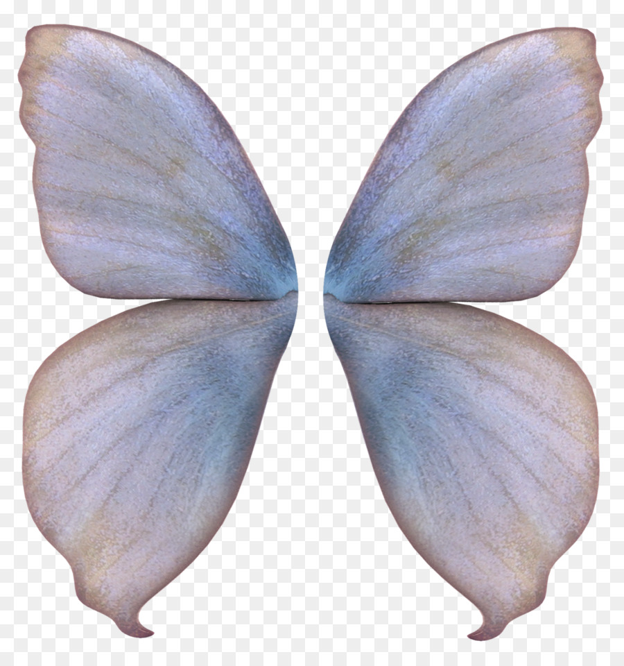 Mariposa Azul，Alas PNG