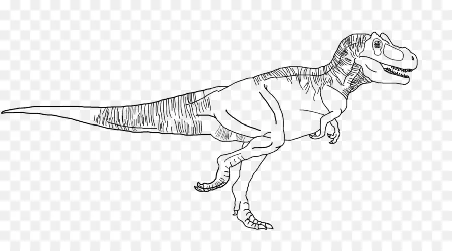 Tarbosaurus，Tyrannosaurus PNG