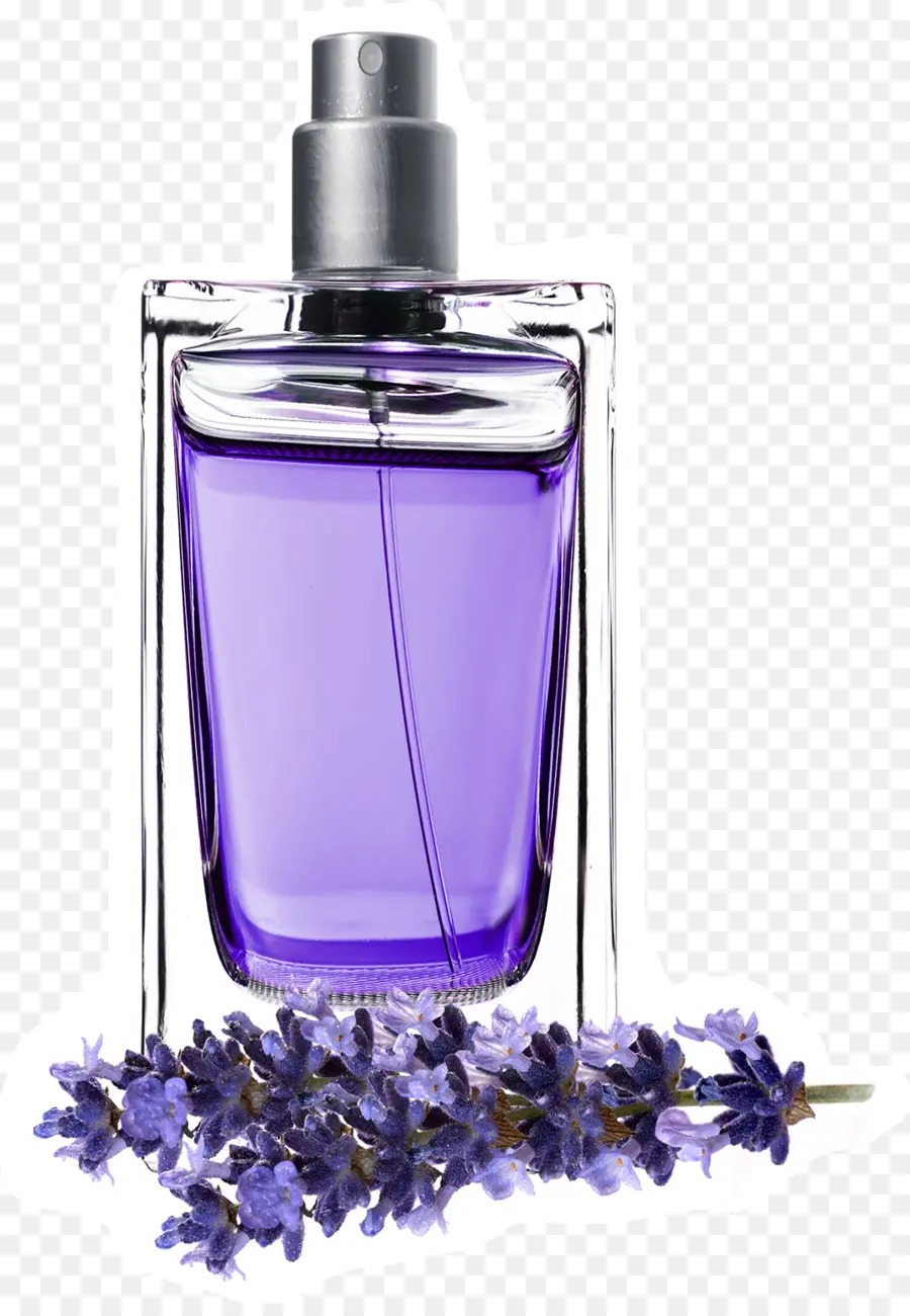 Botella De Perfume Púrpura，Lavanda PNG