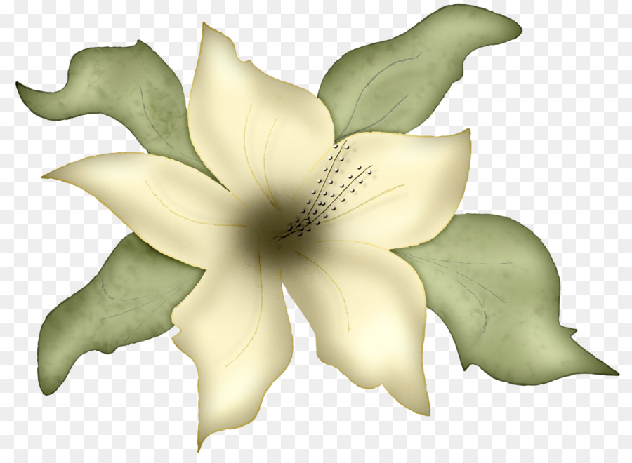 Flor Amarilla，Pétalos PNG