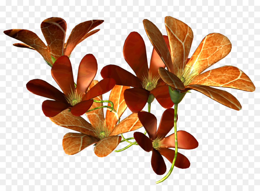 Hoja，Planta PNG