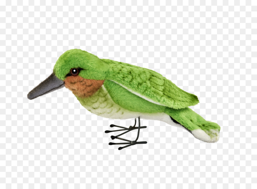 Pájaro，Colibrí PNG