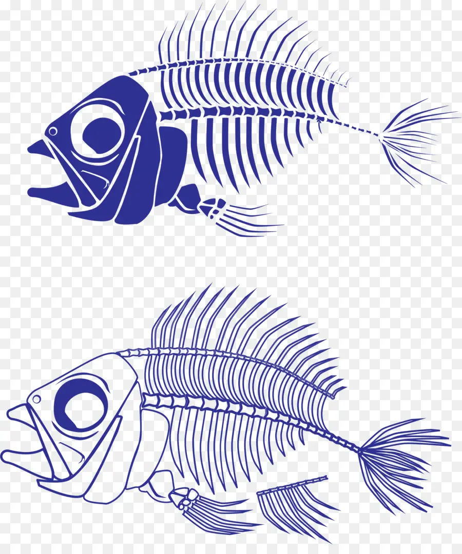 Esqueletos De Peces，Huesos PNG