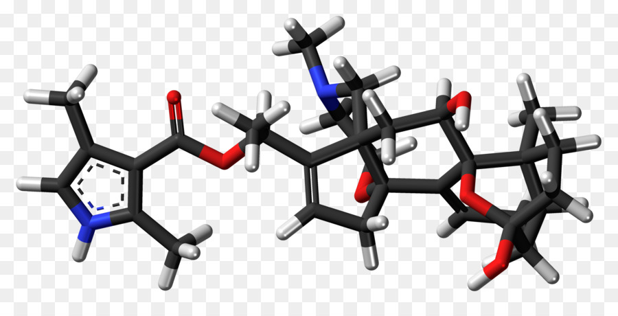 Batrachotoxina，Molécula PNG