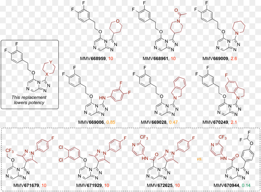 Estructura Química，Molécula PNG