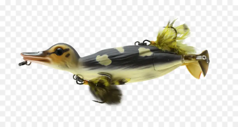 Lucio，Los Cebos De Pesca Señuelos PNG