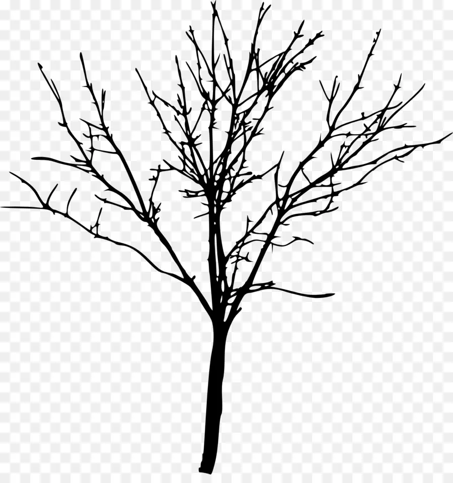 árbol，Silueta PNG