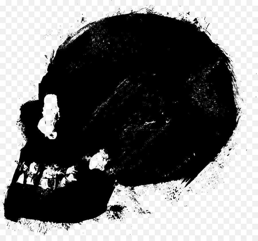 Calavera Negra，Grunge PNG