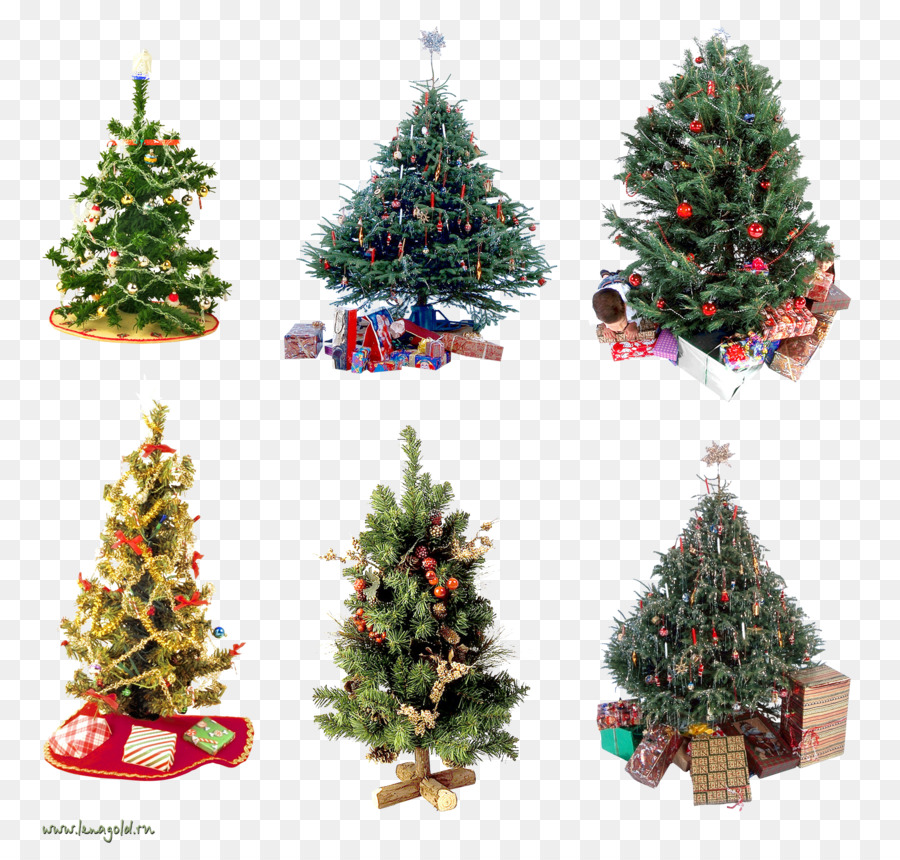 Mini árboles De Navidad，Navidad PNG