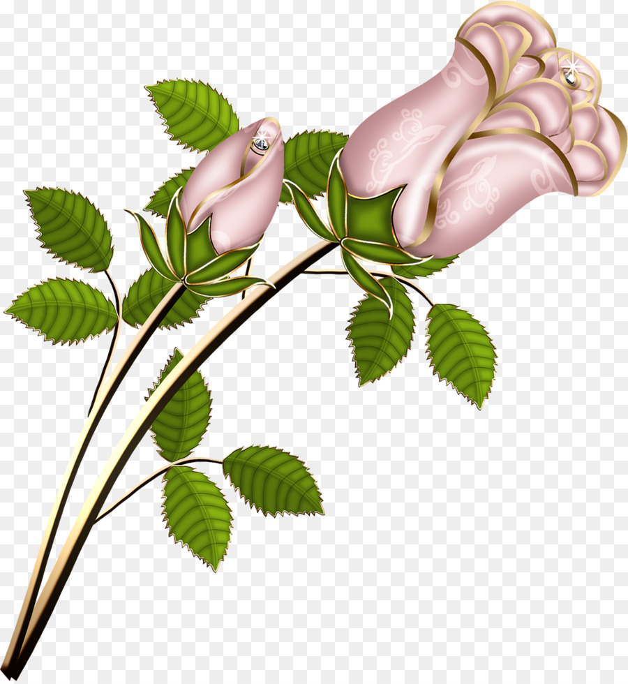 Rosas Blancas，Hojas Verdes PNG