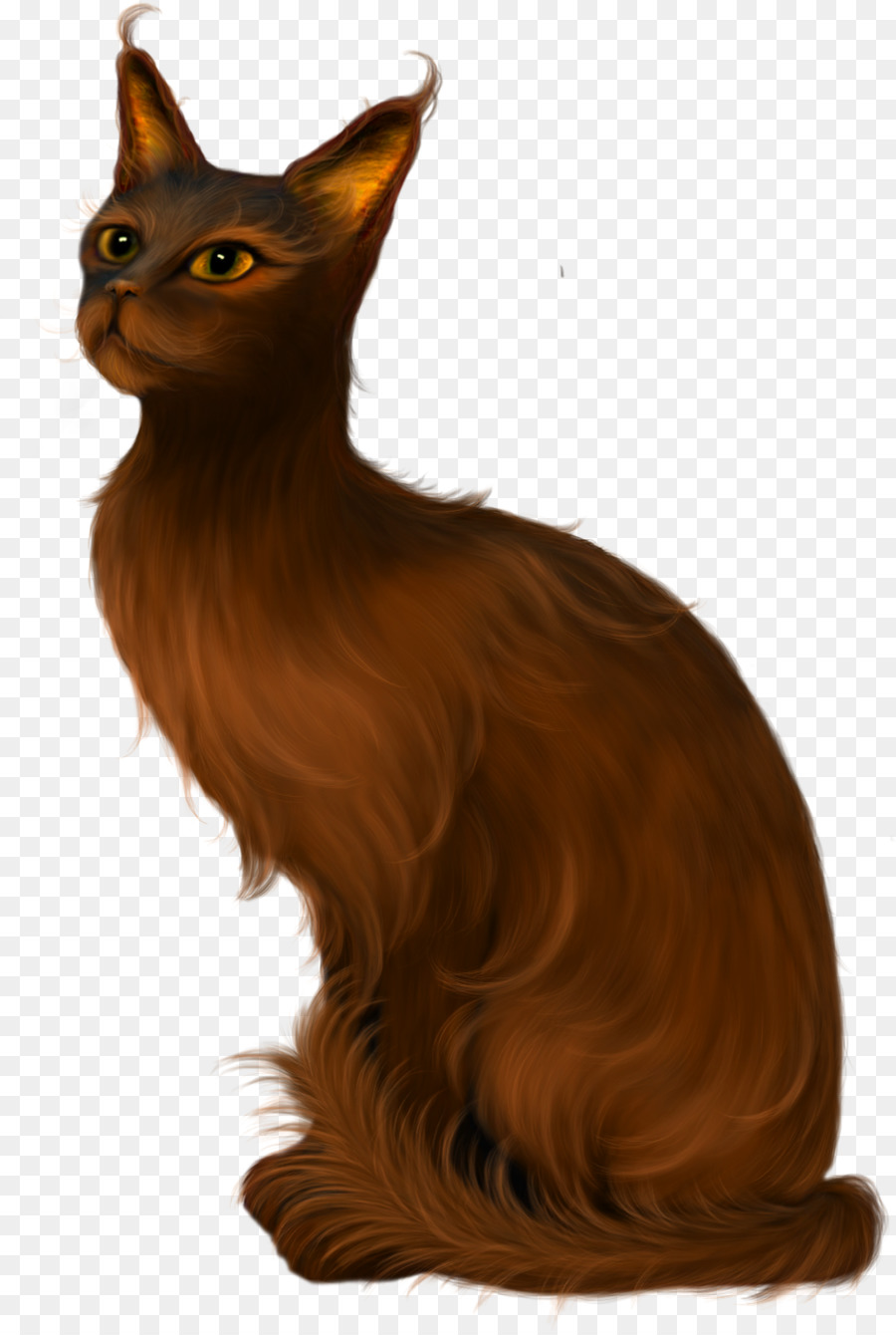 El Gato Balinés，La Habana Brown PNG