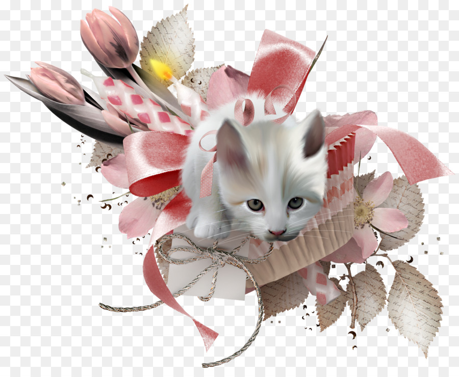 Gatito，Gato PNG