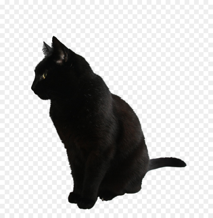 Gato Negro，Mascota PNG