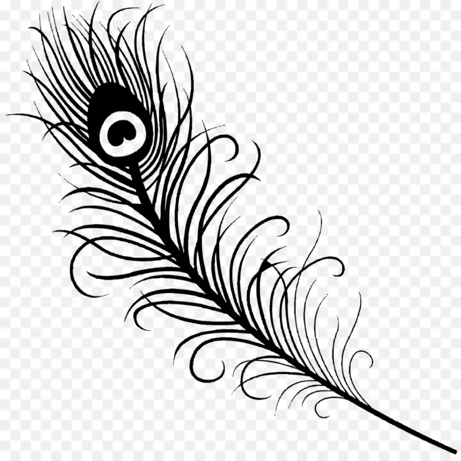 Pluma，Pavo Real PNG