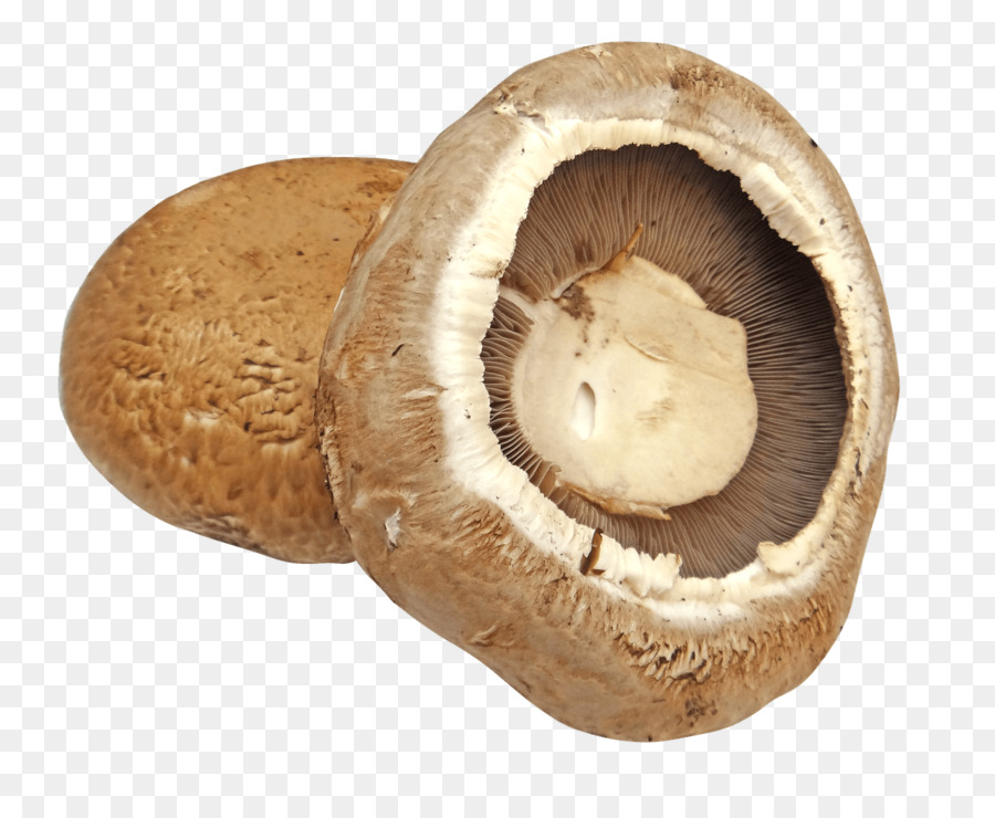 Seta Común，Seta Comestible PNG