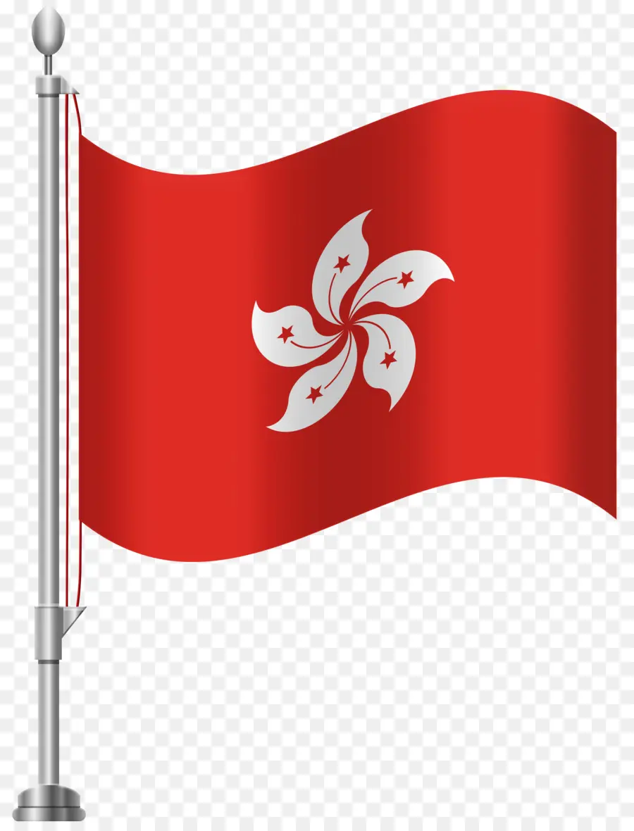 Hong Kong，Bandera De Hong Kong PNG