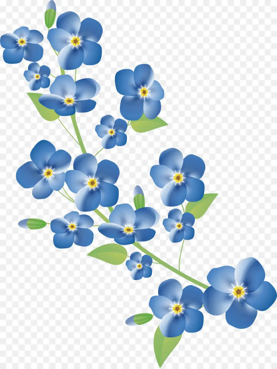 Flores No Me Olvides，Azul PNG