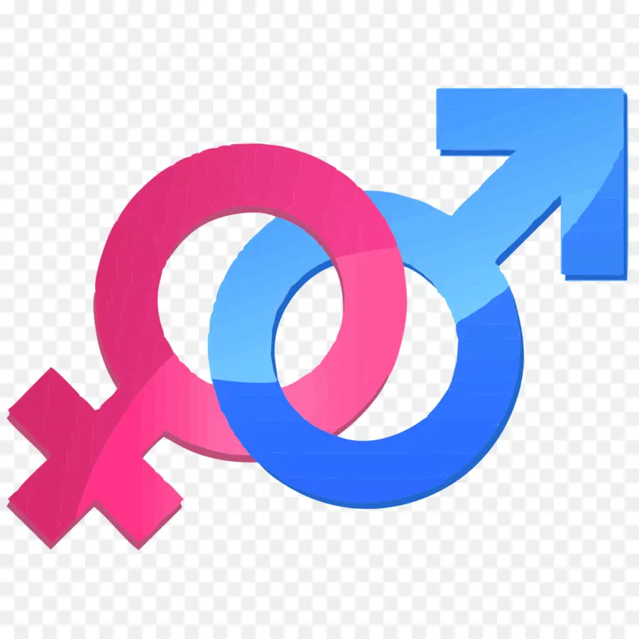 Género Y Desarrollo，La Igualdad De Género PNG