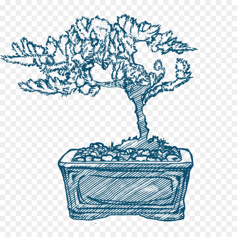 Bonsai，árbol PNG