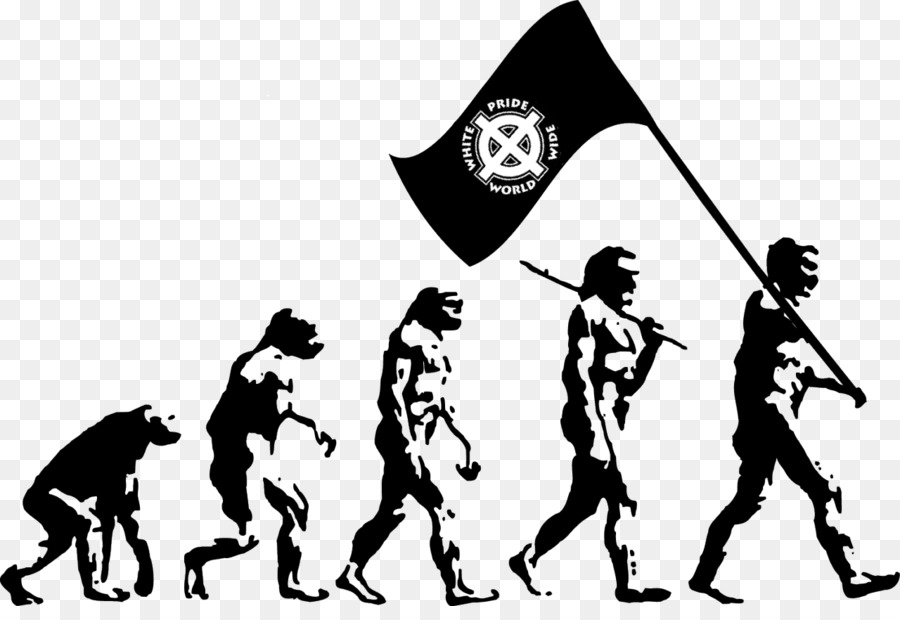 Gráfico De Evolución，Humano PNG