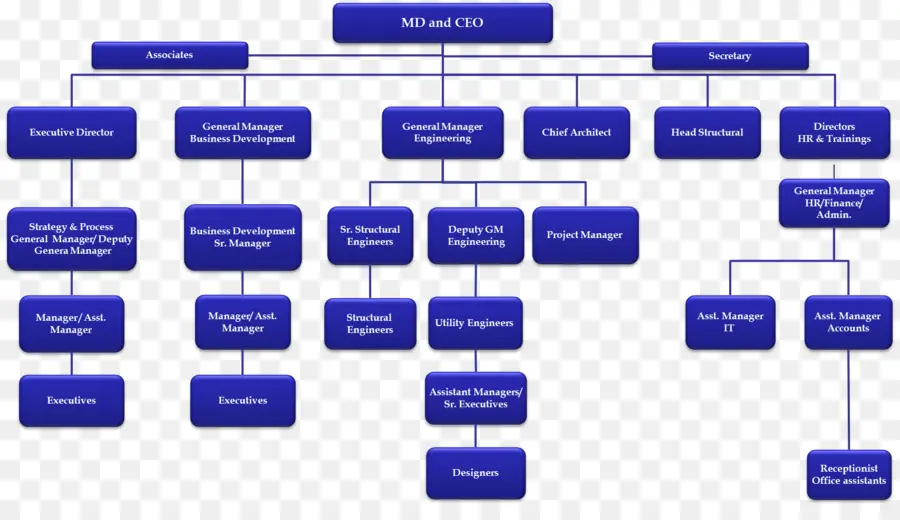 Organigrama，Jerarquía PNG
