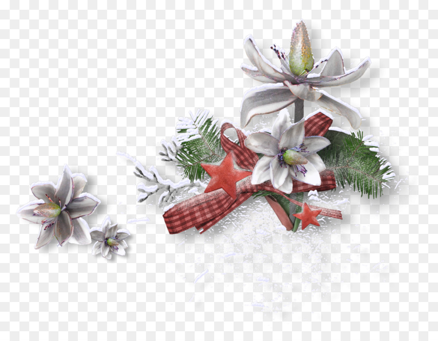 Cumpleaños，La Navidad PNG