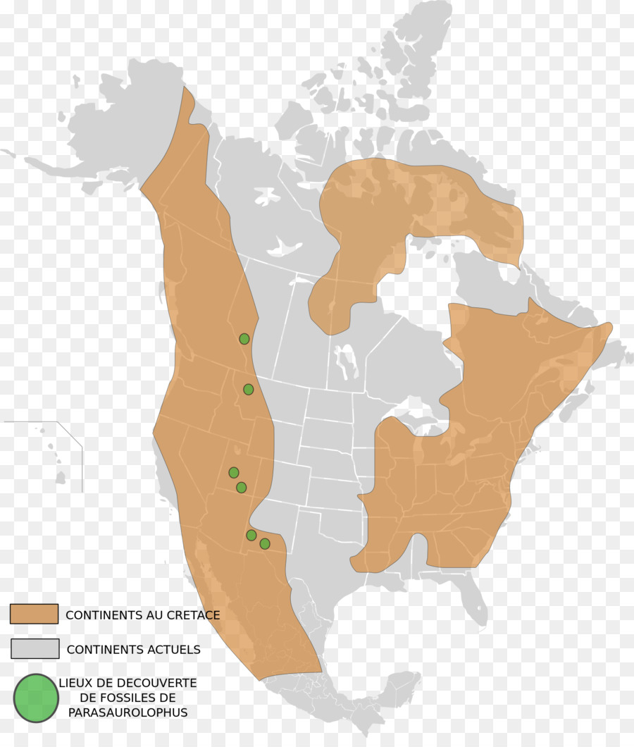 Central Nos Los Bosques De Madera Dura，Estados Unidos PNG