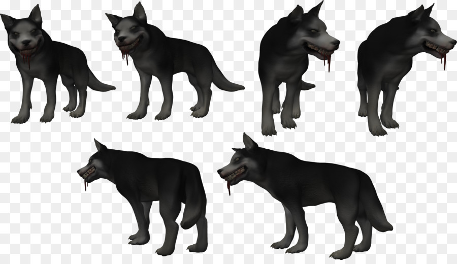 Husky Siberiano，Cachorro PNG