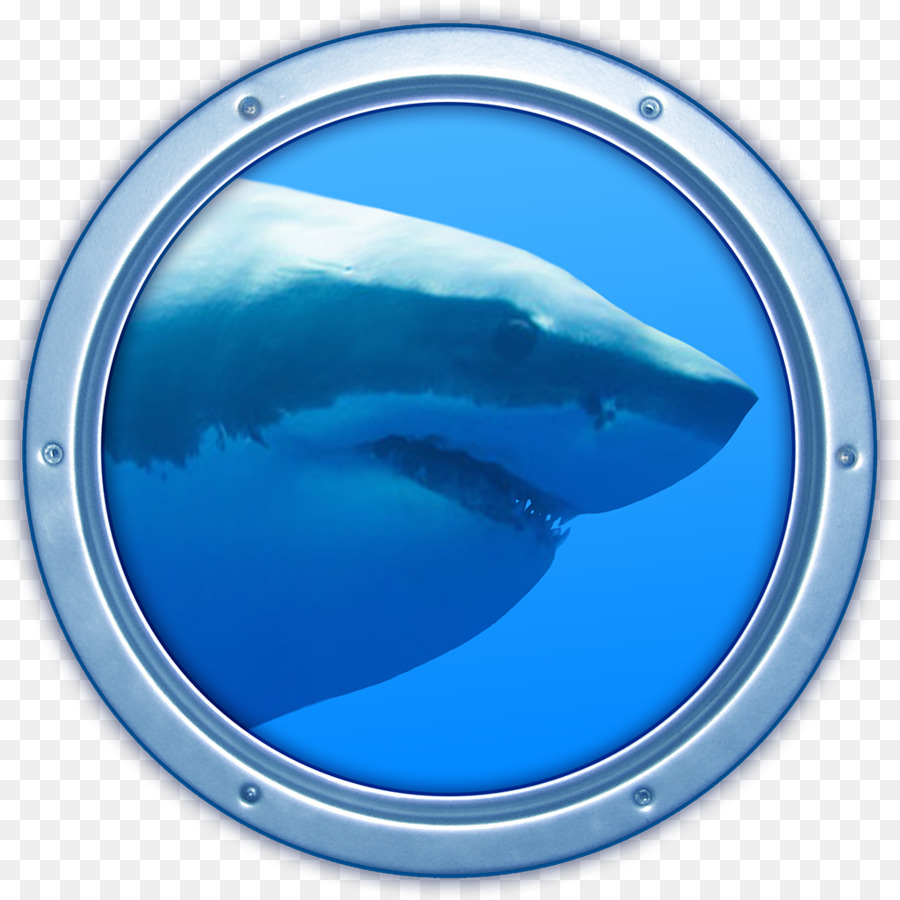 Macos，Programa De Ordenador PNG