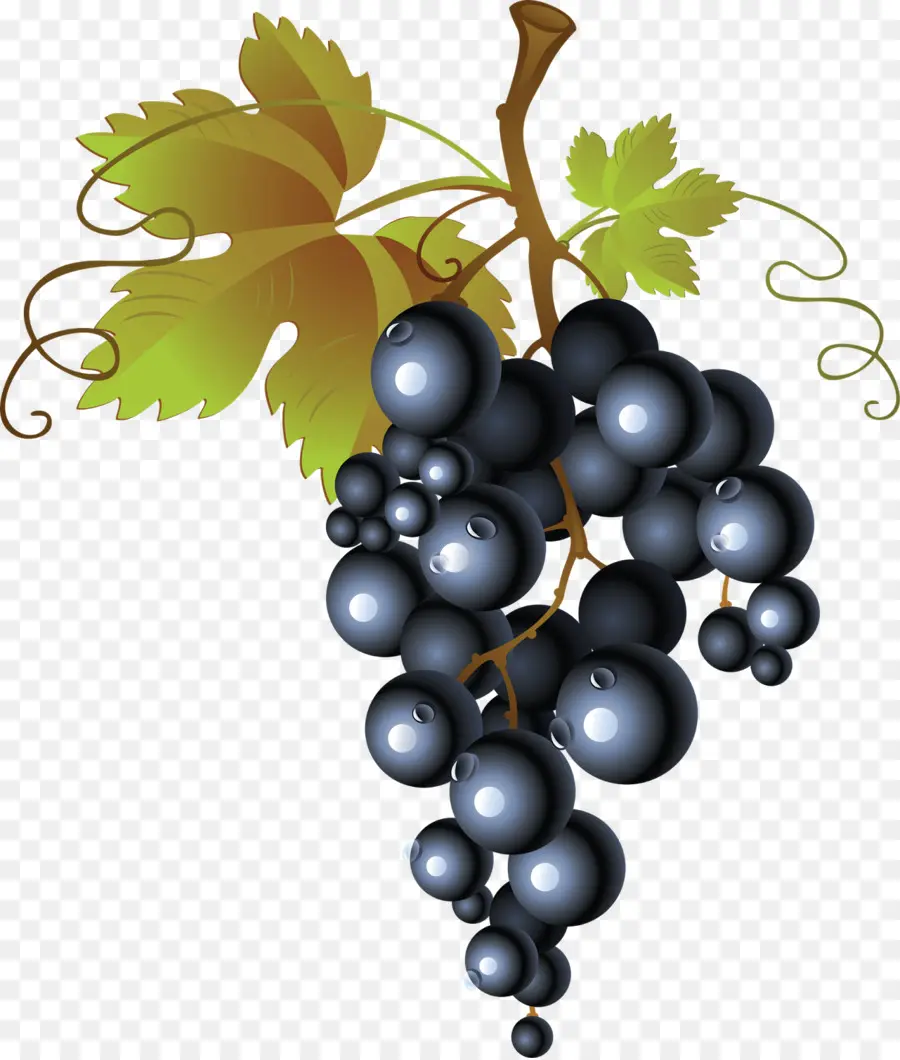 Común De La Uva De La Vid，Vino PNG