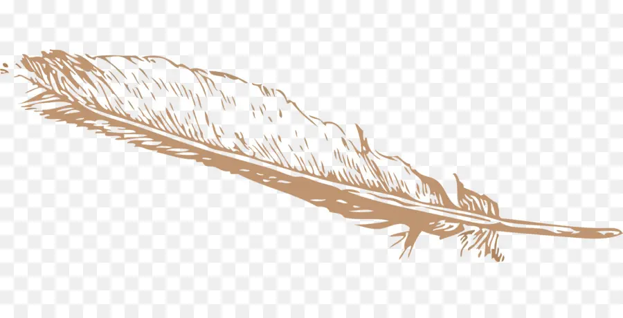 Pluma，Plumas De águila Ley PNG