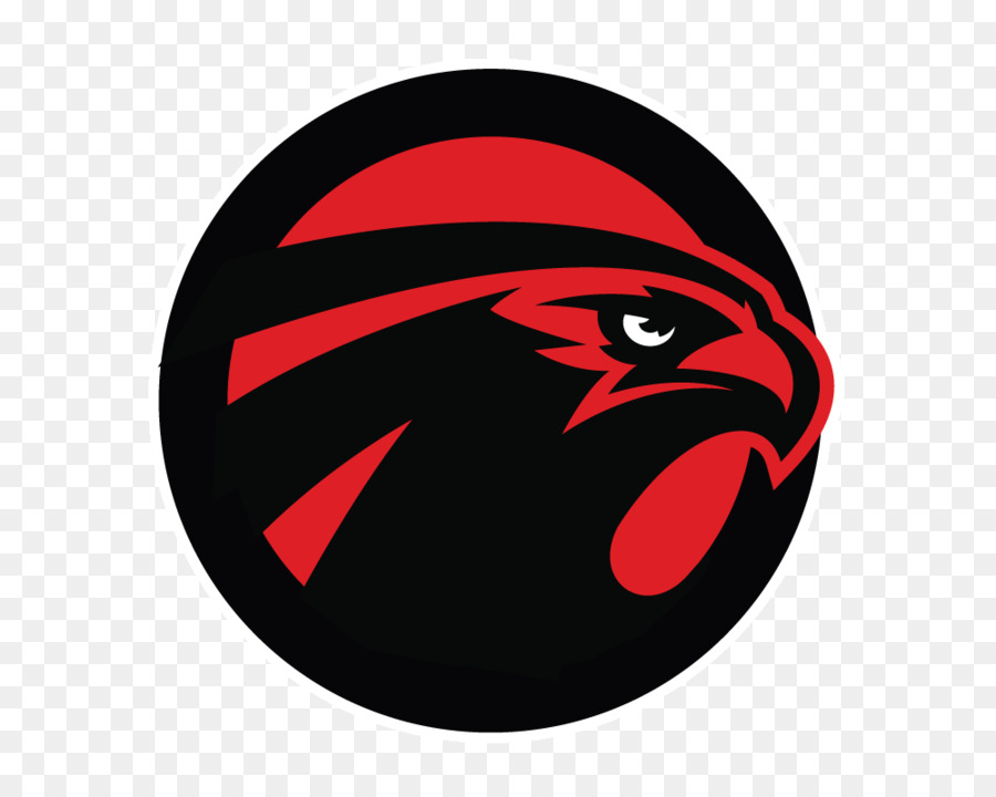 Atlanta Falcons，La Nfl PNG