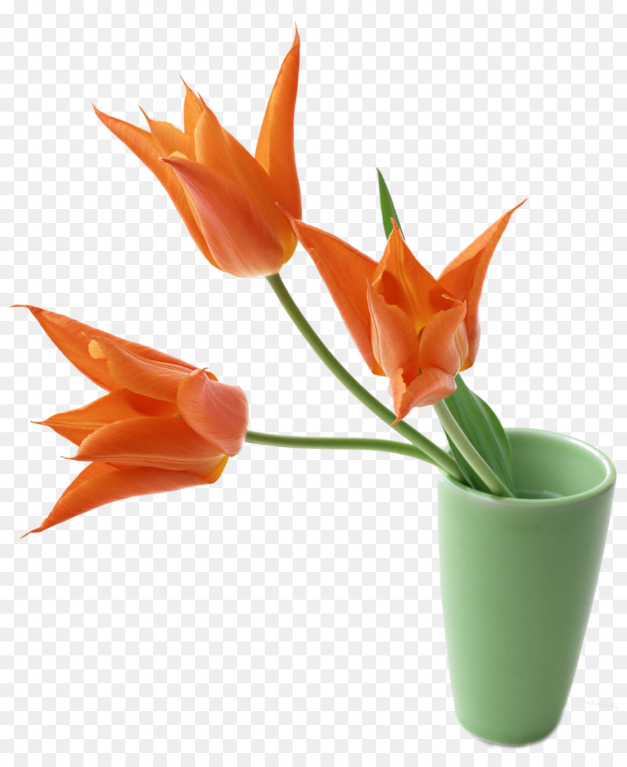 Florero，Flor PNG