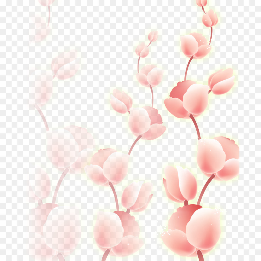 Magnolia，Magnoliaceae PNG