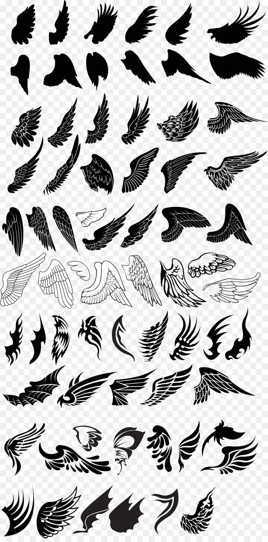 Alas，Plumas PNG