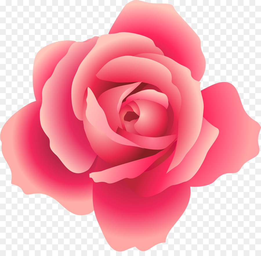 Rosa Roja，Florecer PNG