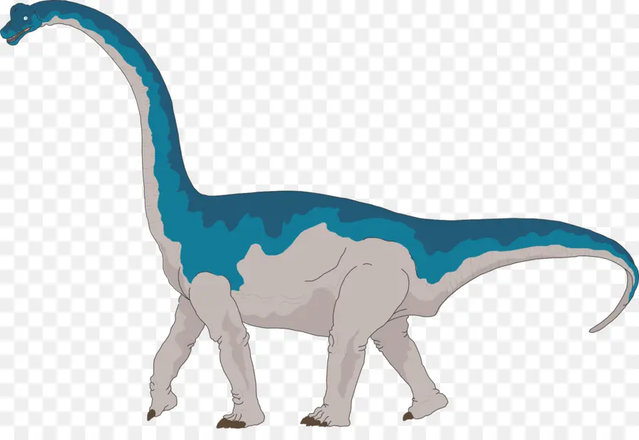 Brachiosaurus，Apatosauro PNG