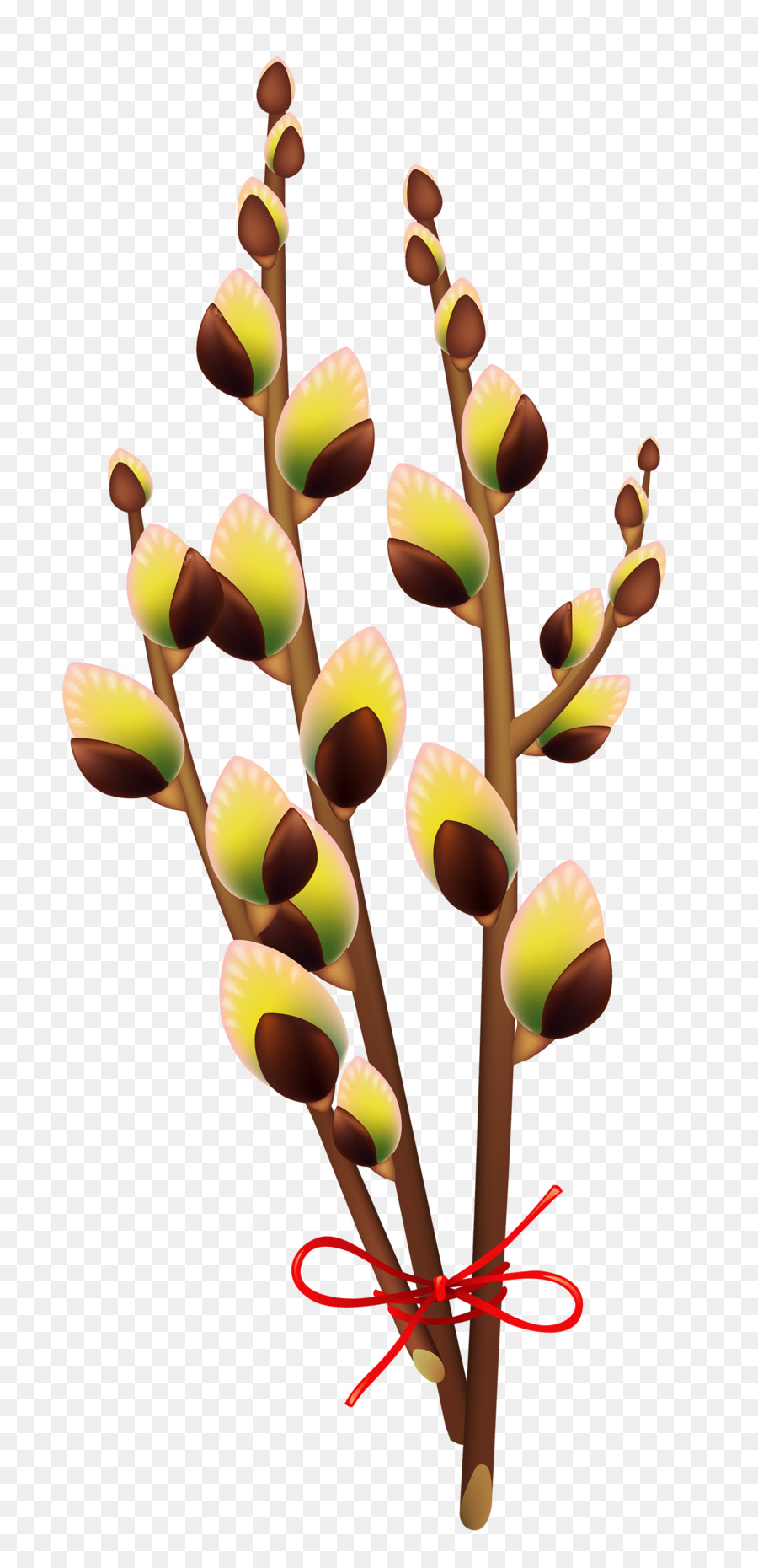 Conejito De Pascua，Pascua PNG