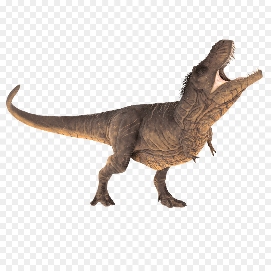 Dinosaurio，Velociraptor PNG