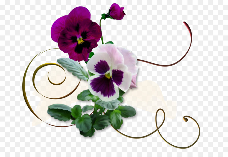 Flores De Pensamiento，Florecer PNG