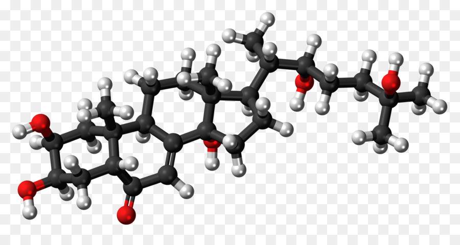 El Colesterol，La Lipoproteína De Alta Densidad PNG