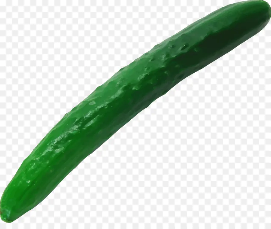 Pepino，Verde PNG